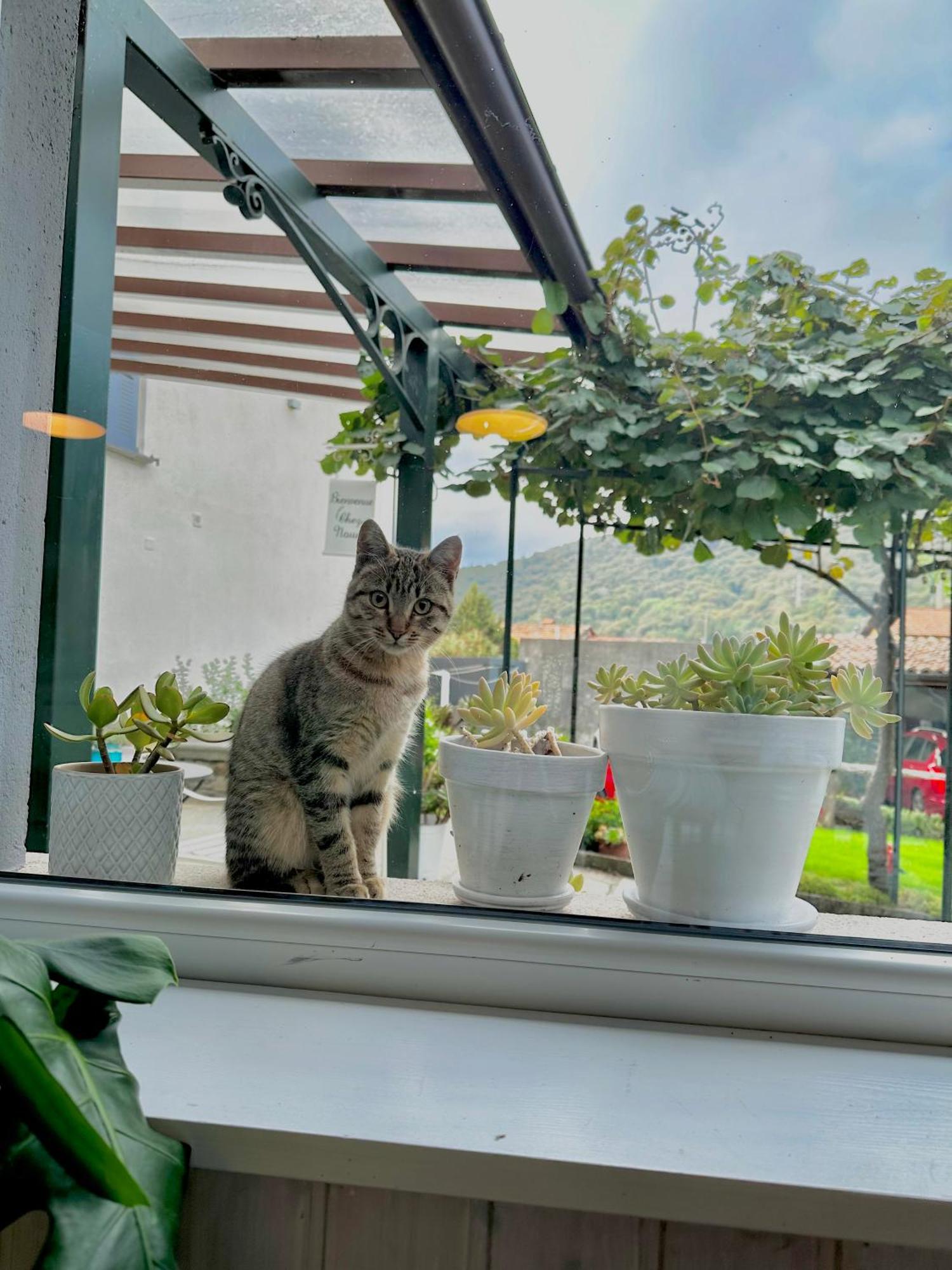 B&B La Dolce Casa Lago Di Como Cremia エクステリア 写真
